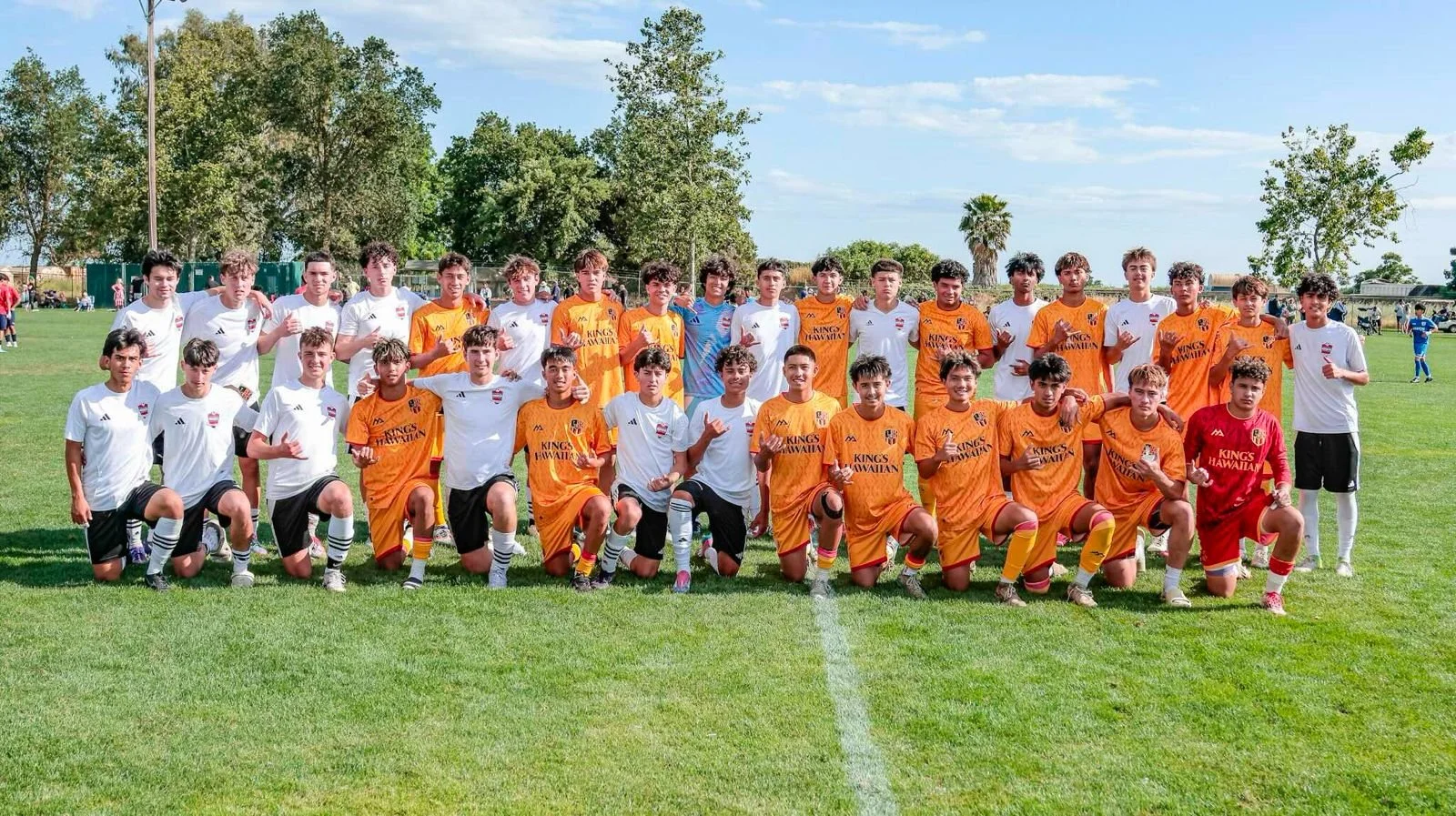 WhatsApp Image 2026-02-20 at 11.13.40 AM (6).jpeg