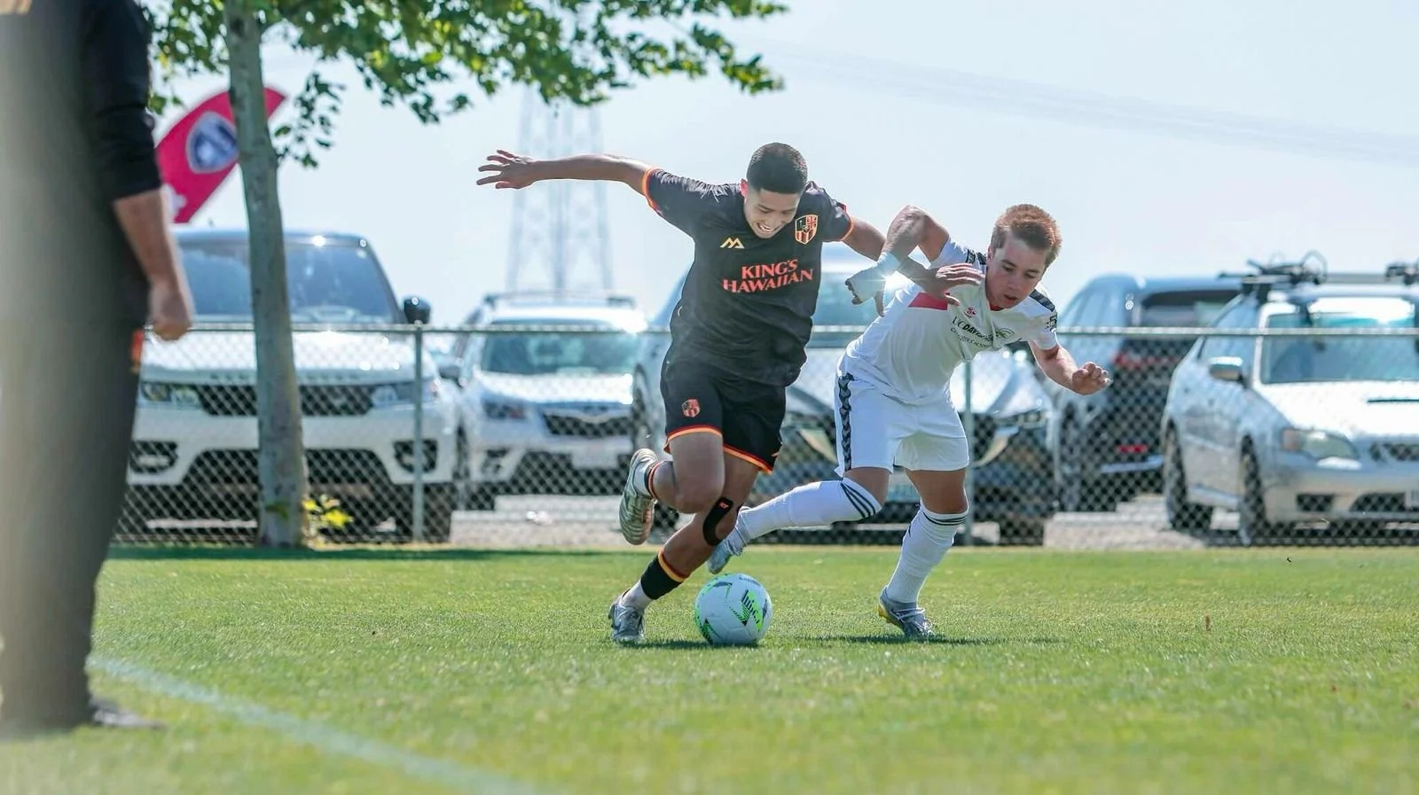 WhatsApp Image 2026-02-20 at 11.13.41 AM (3).jpeg