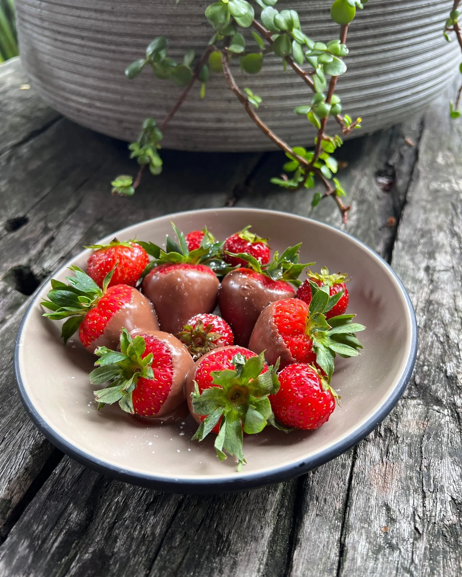 Valentine’s Day celebrations