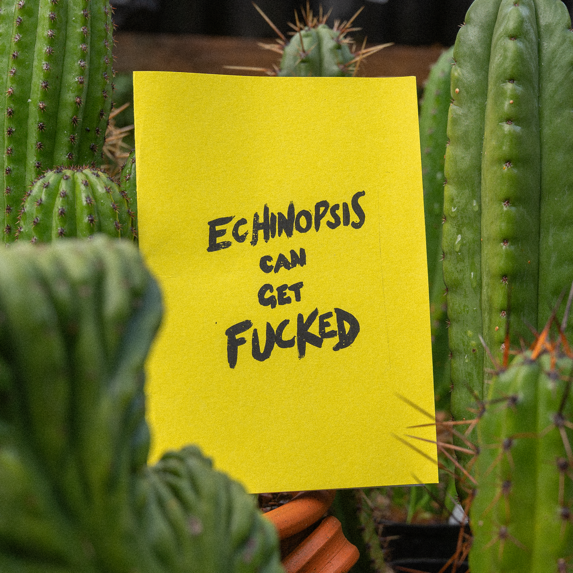 ecgf.png