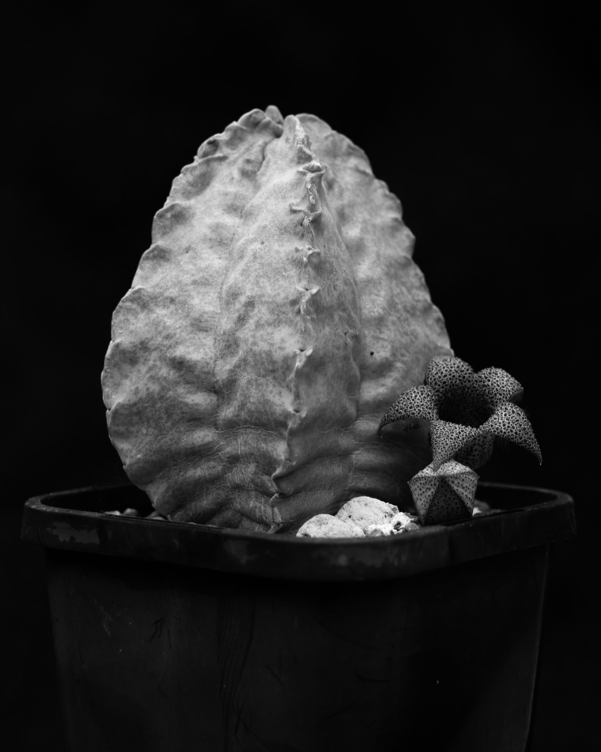 DSC_3347.png