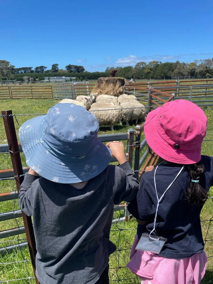 farm_photo_2.jpeg