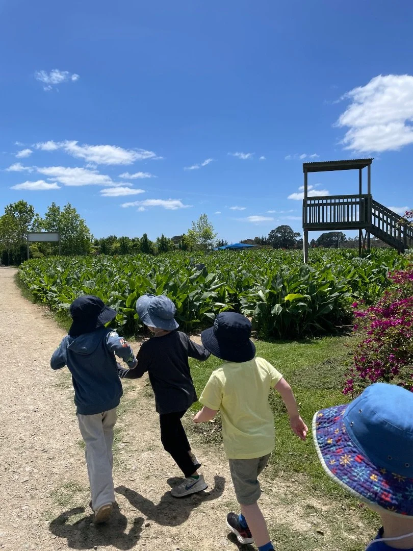farm_photo_3.jpeg