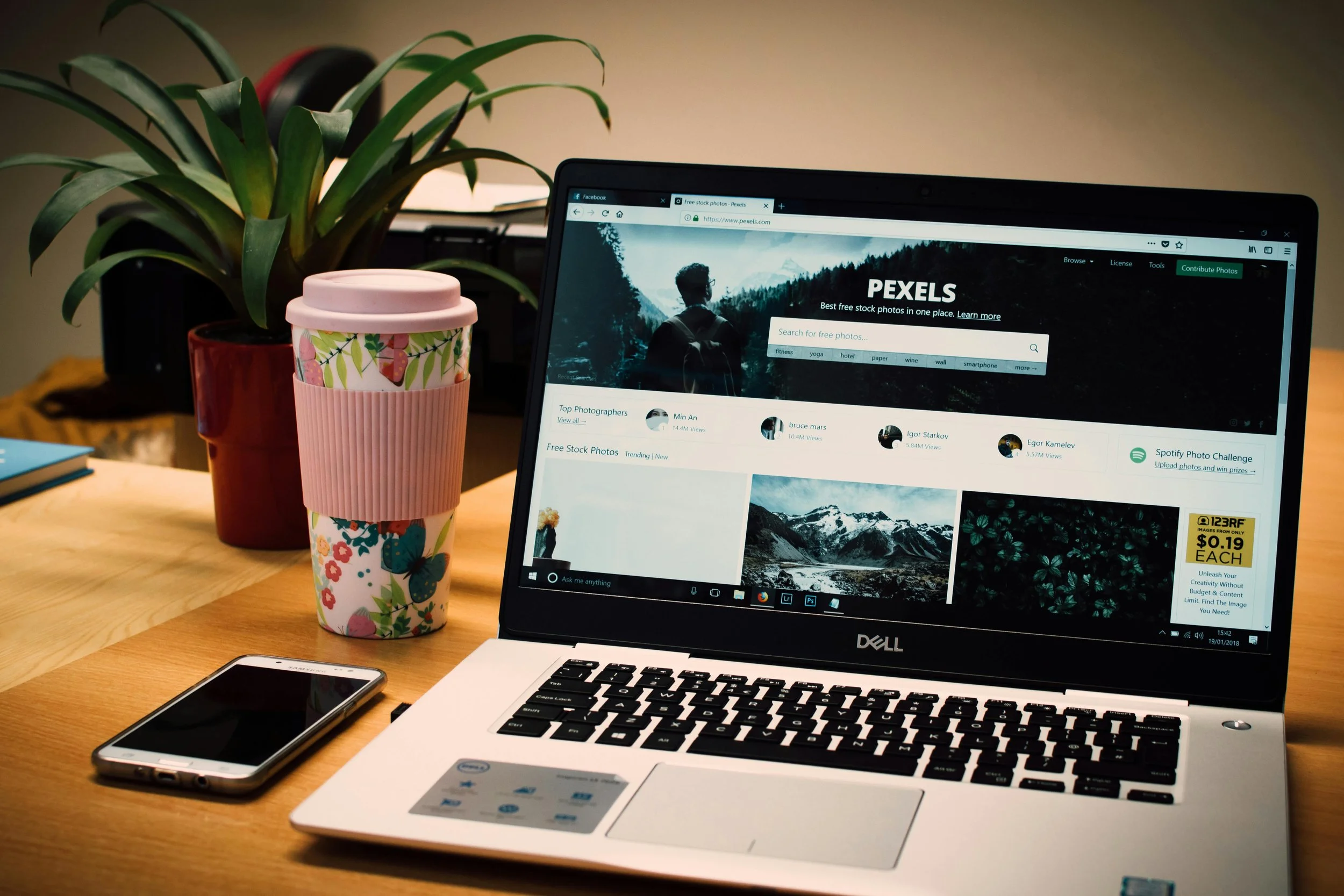 Website & UX Development