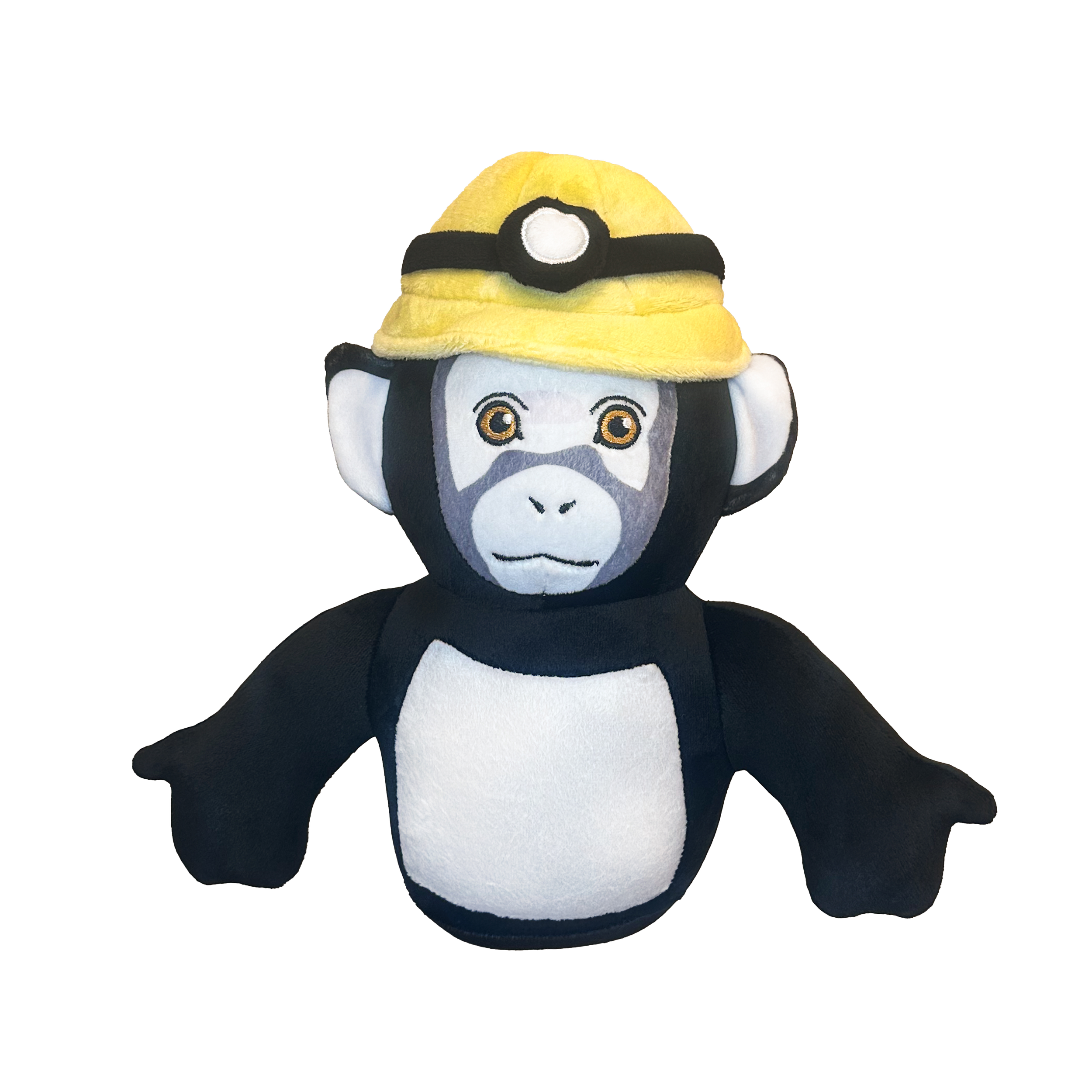 a_38a01538-6ee1-4223-b46f-6b234c0c0c39.png