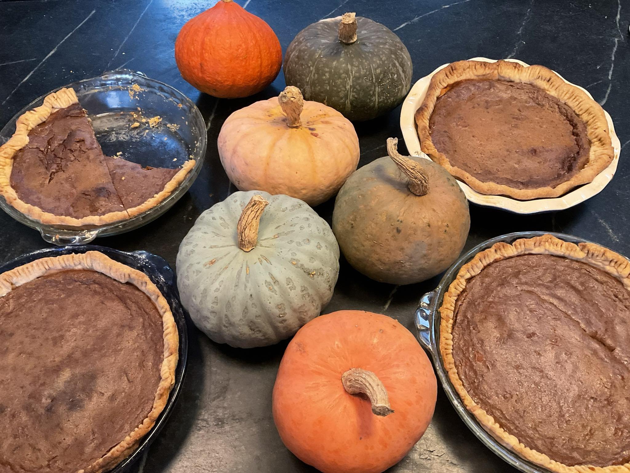 Pumpkin Pie