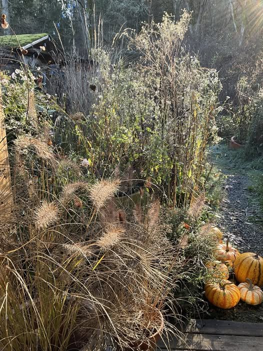 Now is a smart time to visit your local specialty nursery