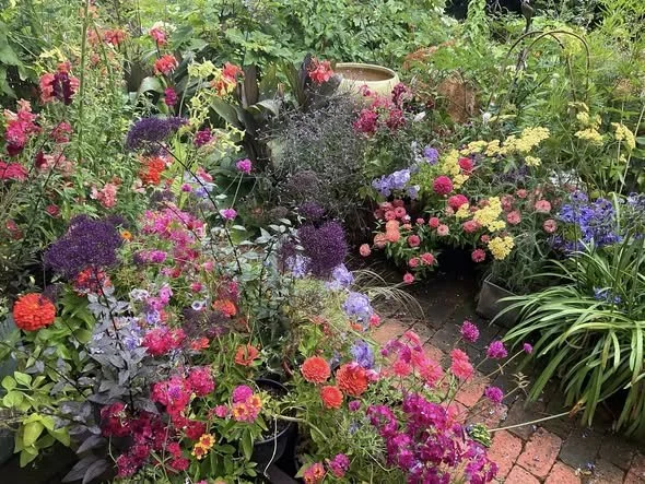The Seattle Times new garden column:             At Home In The Garden