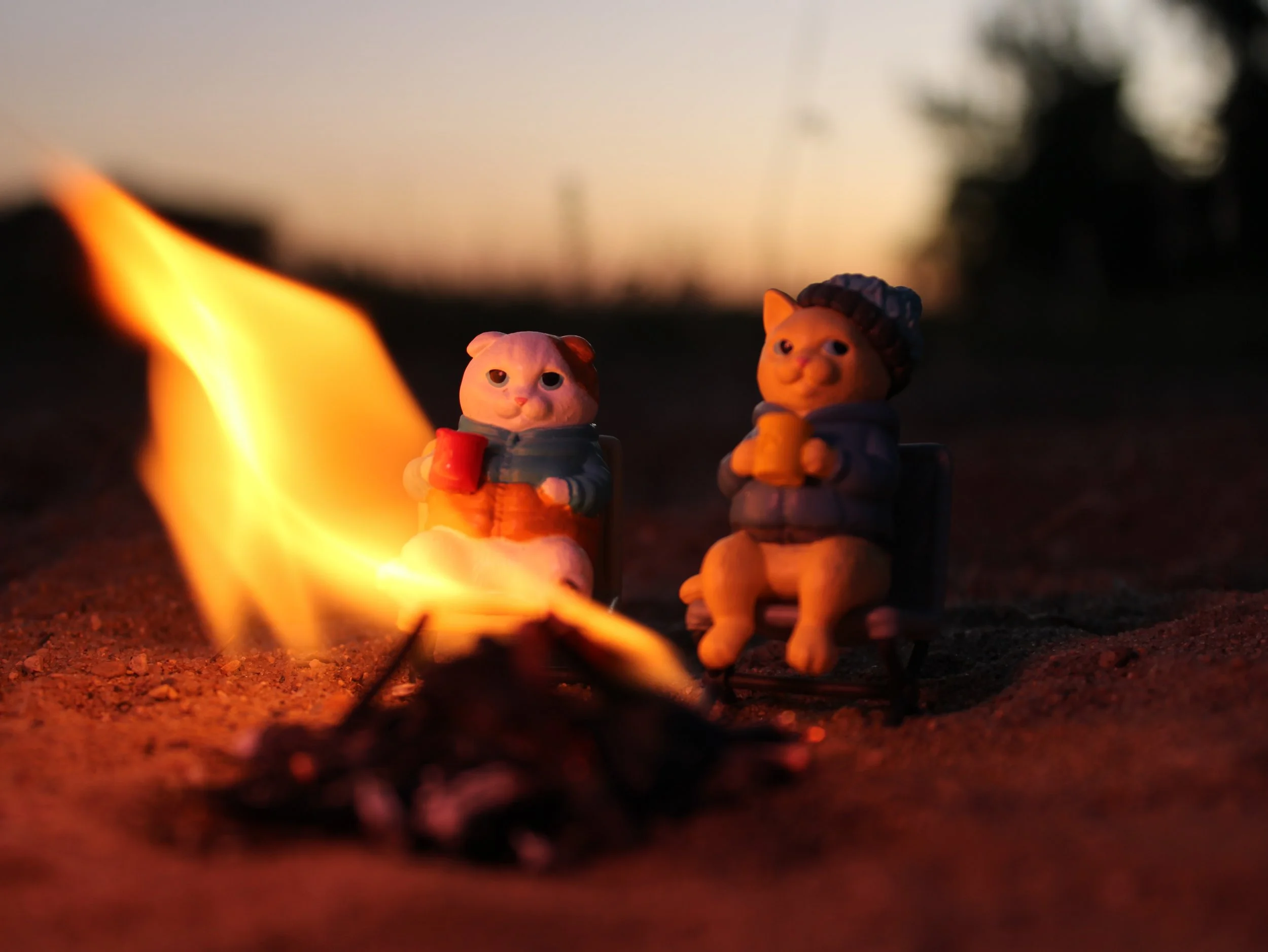 Campfire Kitties