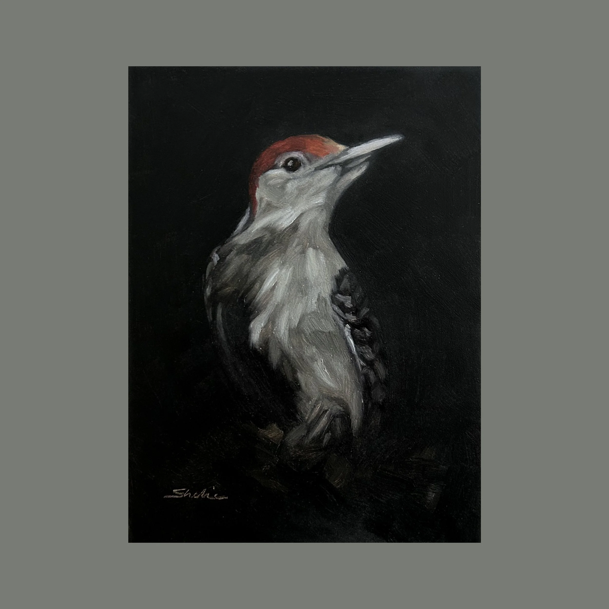 Woodpecker
