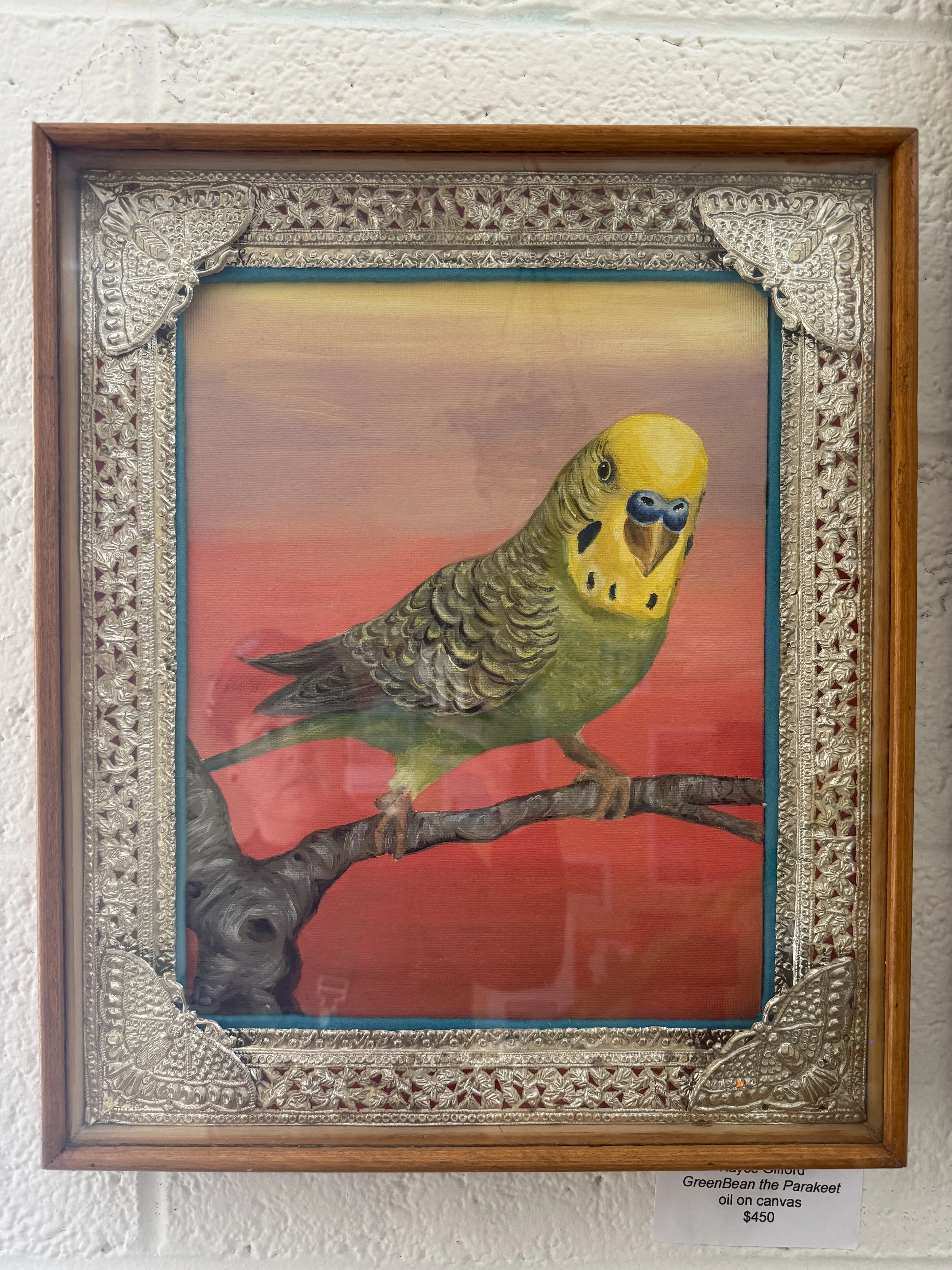 Green Bean The Parakeet