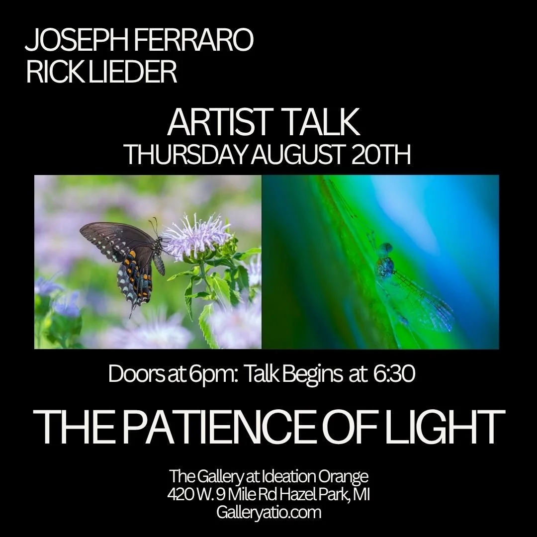 Event poster for an artist talk by Rick Lieder, featuring photographs of a butterfly on a flower and a dragonfly on a vibrant background, scheduled for Thursday, August 20th, at The Gallery at Ideation Orange in Hazel Park, Michigan.