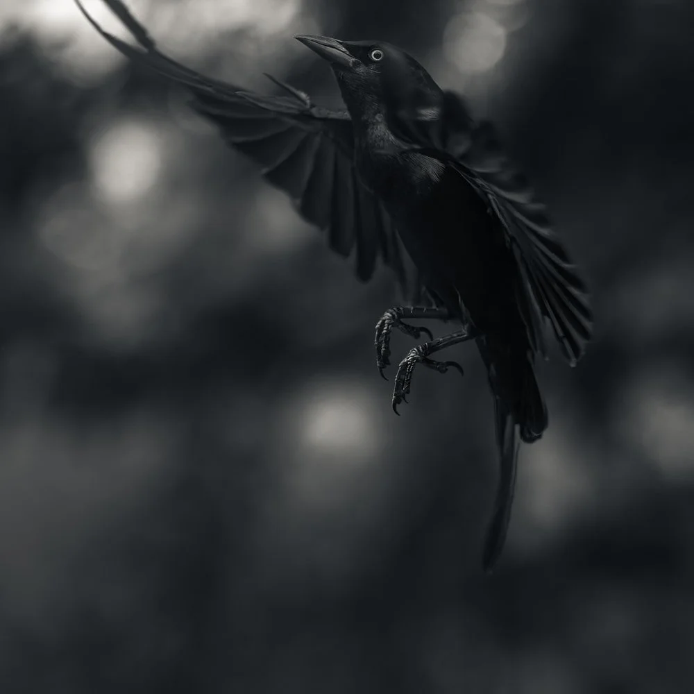 Wind-Lust