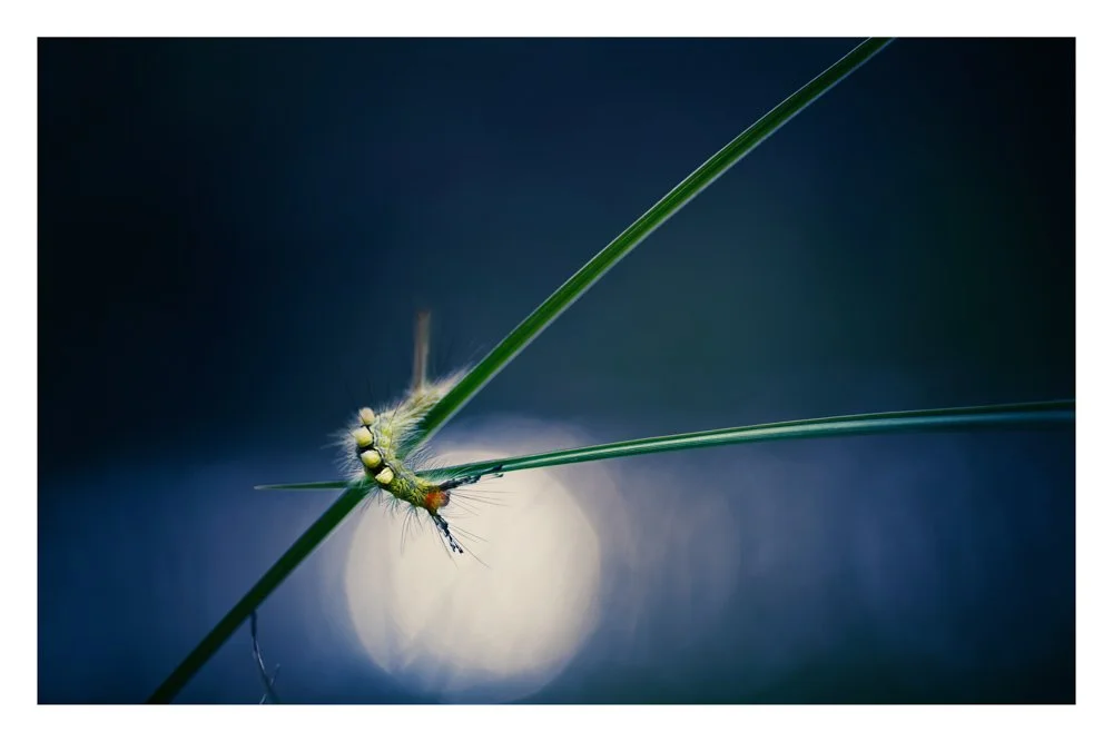 Rounding the Moon
