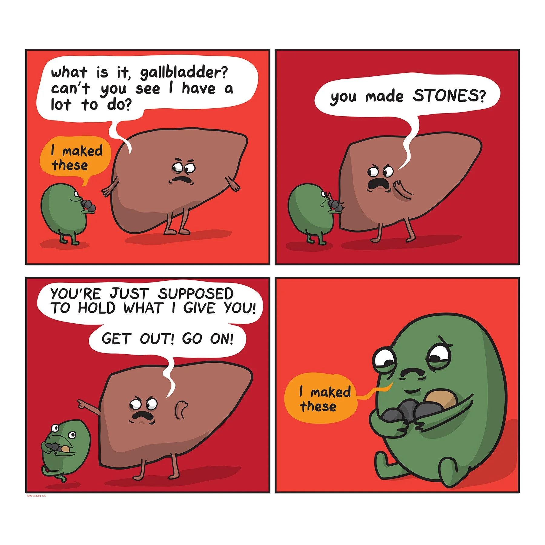 gallbladders last day.jpg