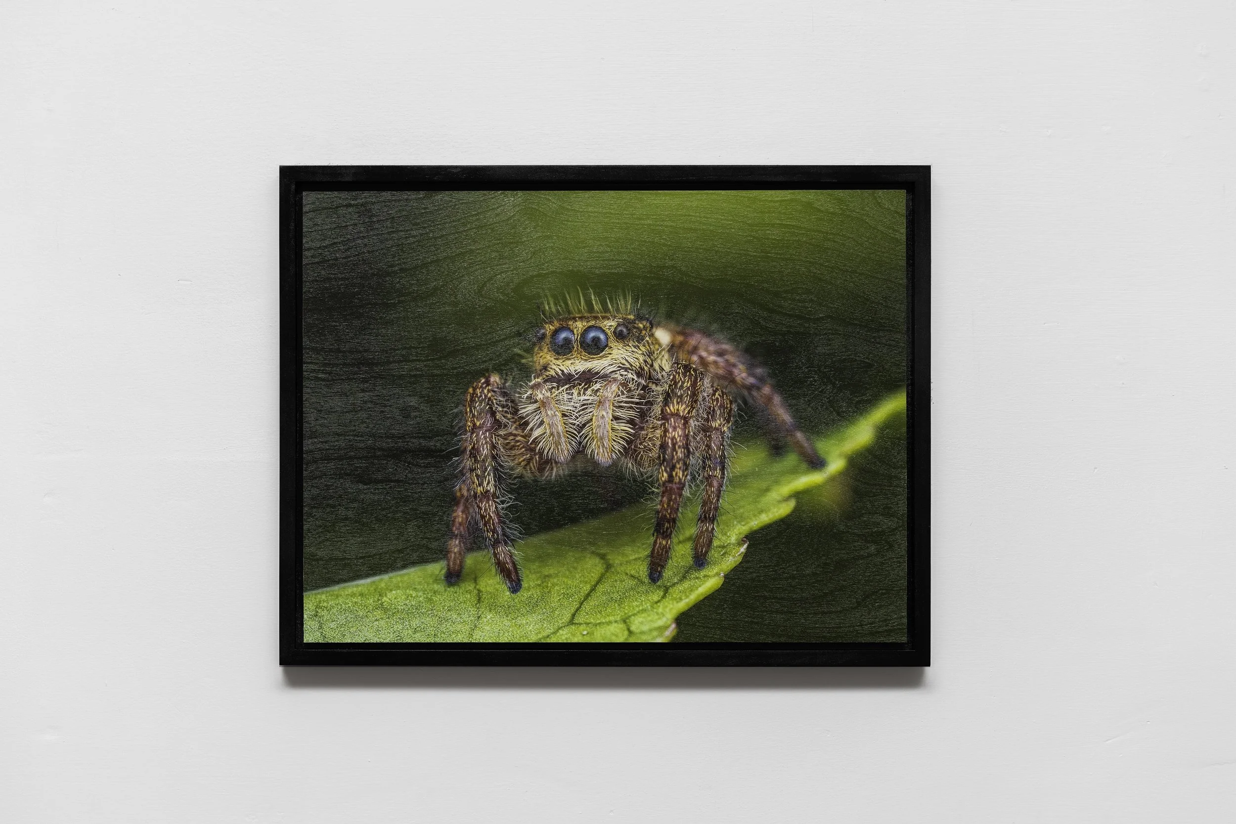 josephferraro_FR50822-jumper.jpg