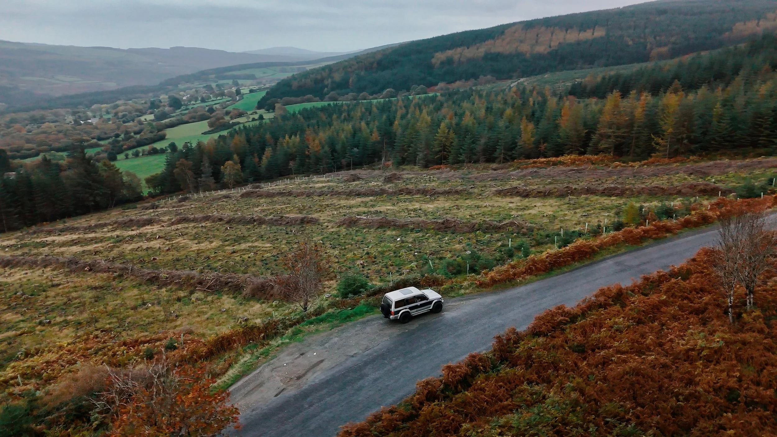 Still 2025-11-26 162548_1.115.1.jpg