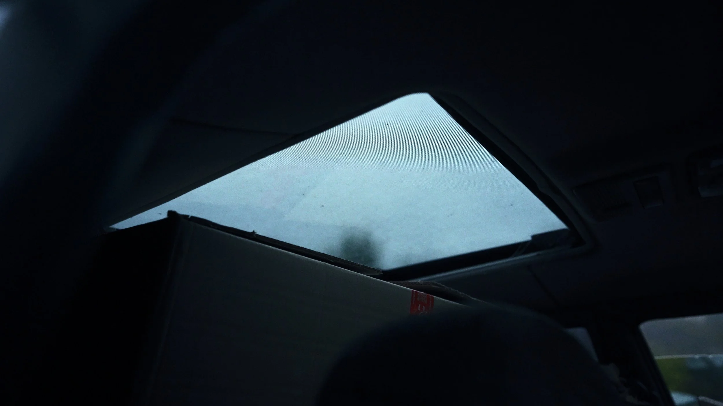 Still 2025-11-26 162548_1.14.1.jpg