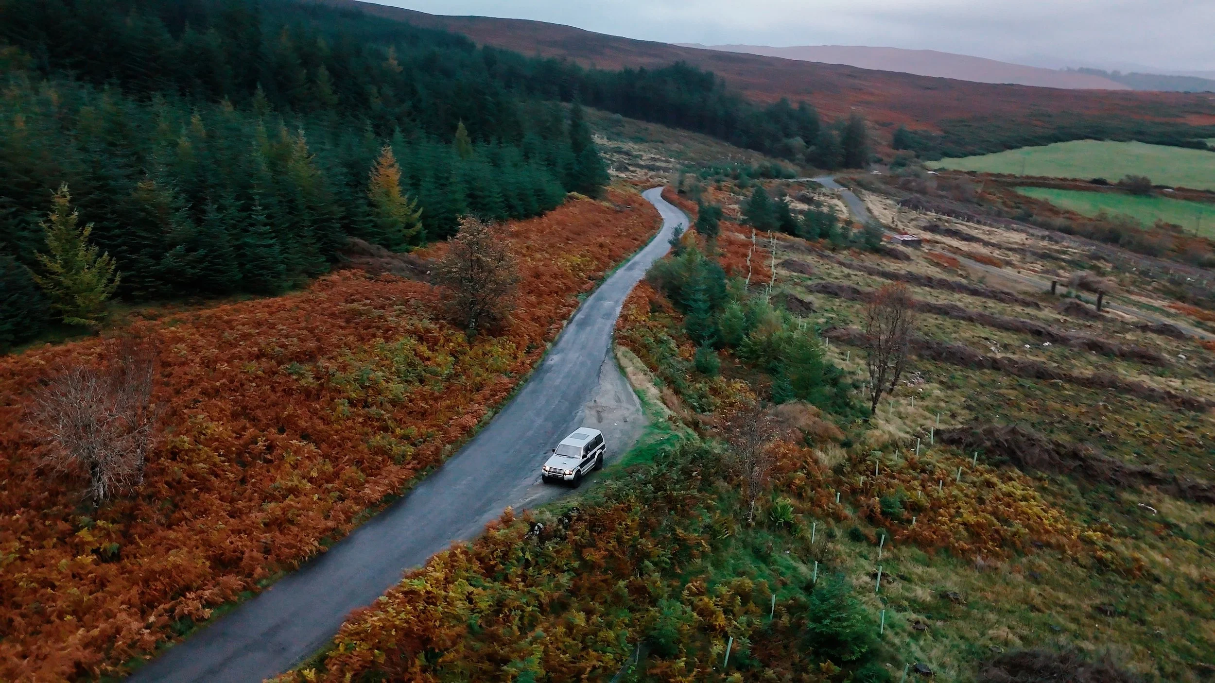 Still 2025-11-26 162548_1.118.1.jpg