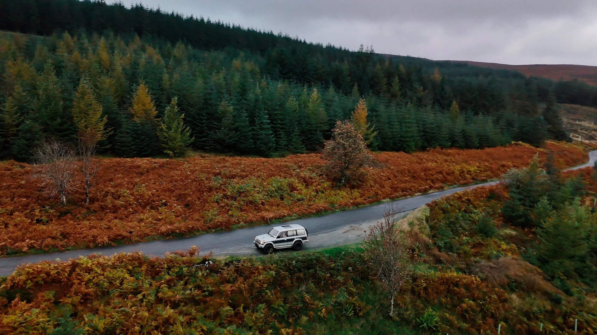 Still 2025-11-26 162548_1.119.1.jpg