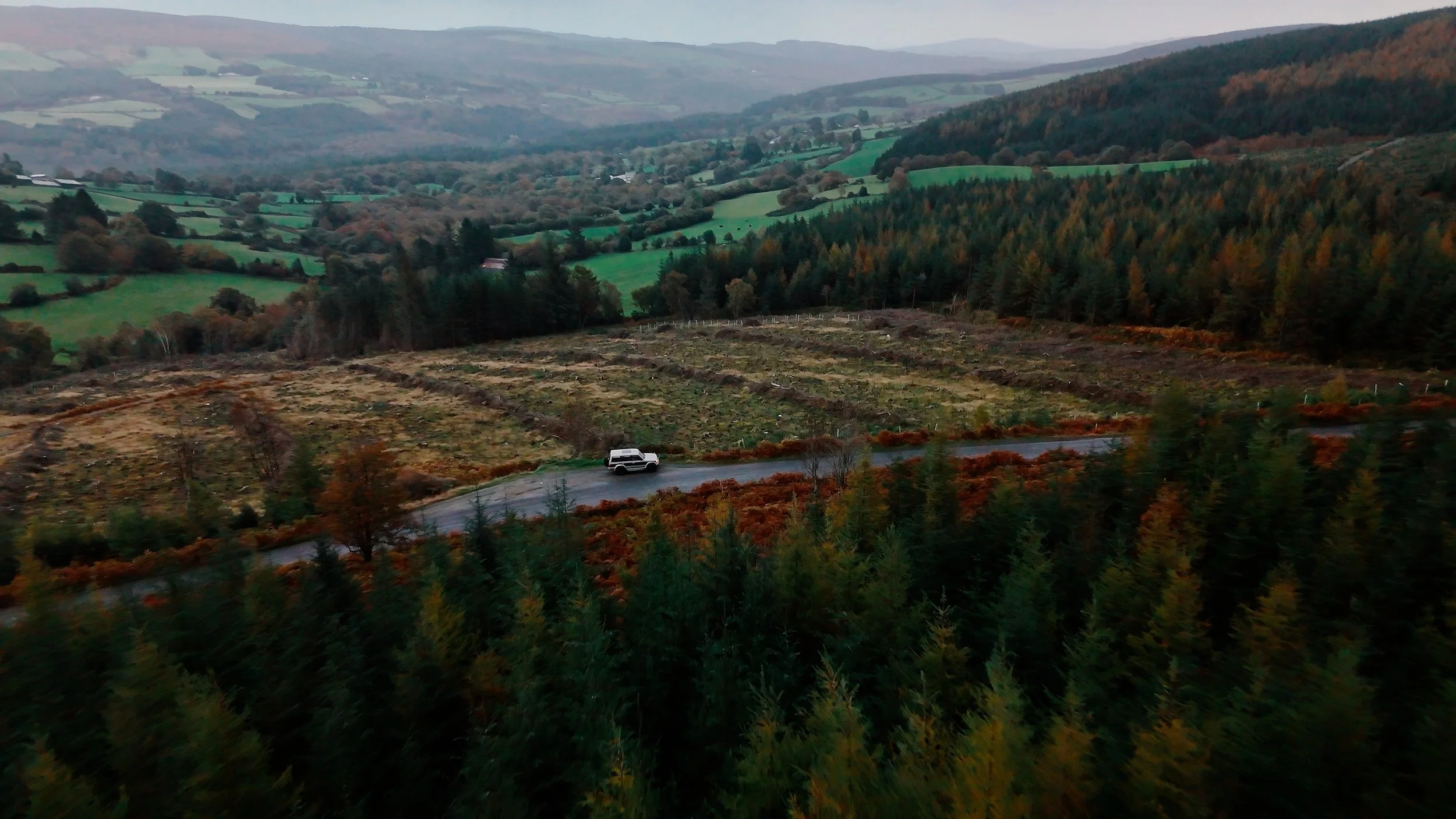 Still 2025-11-26 162548_1.123.1.jpg