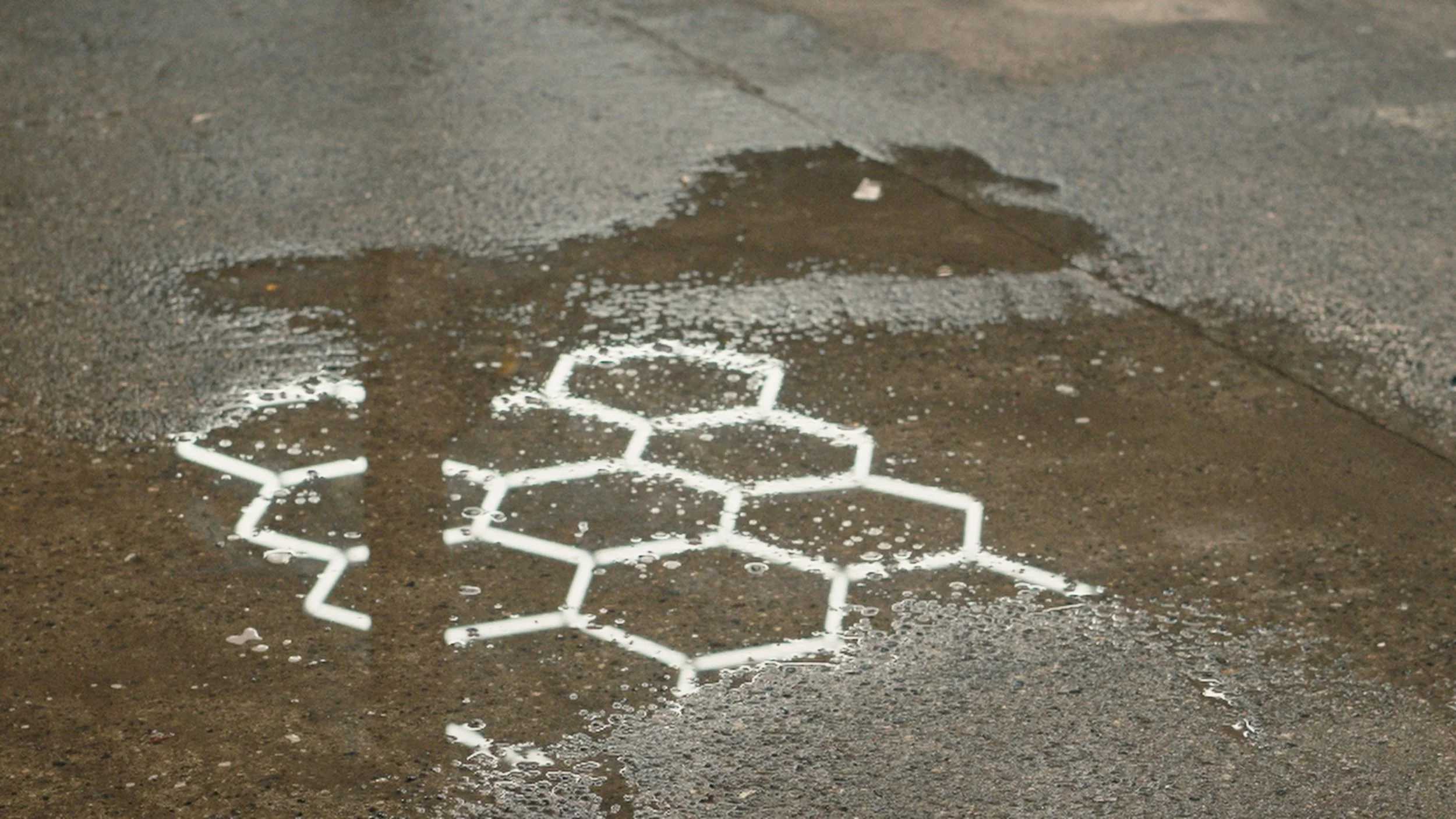 Still 2026-02-22 201743_1.184.1.jpg