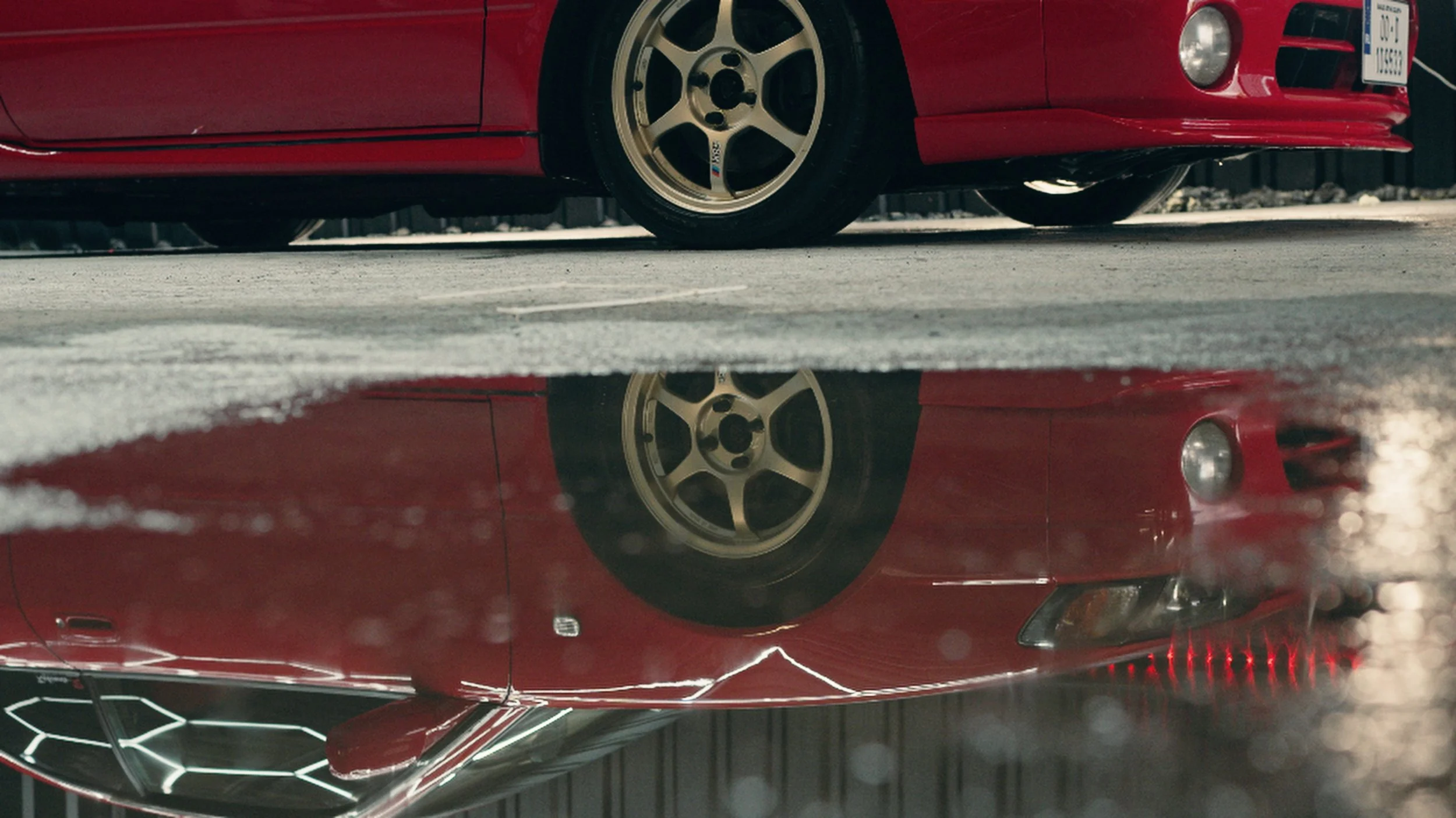 Still 2026-02-22 201743_1.217.1.jpg