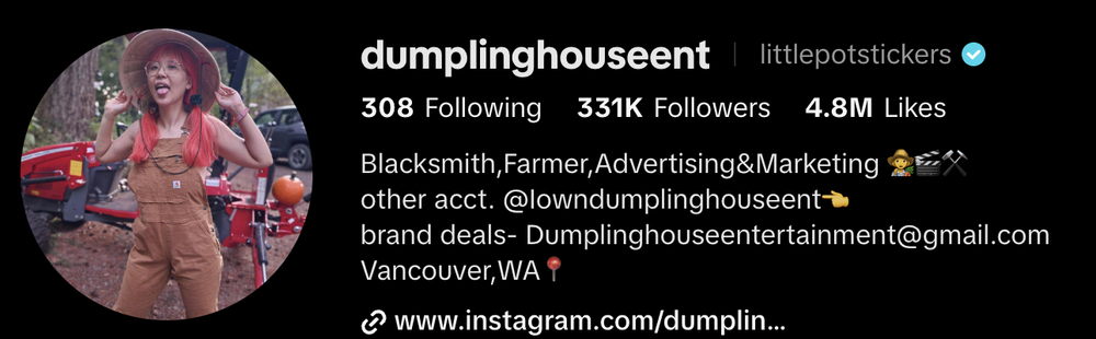 TikTok profile of @littlepotstickers showing the blue verified check, 331K followers and 4.8M likes