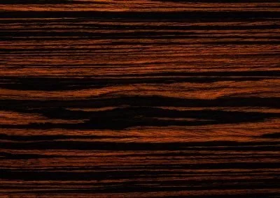 Ebony wood texture with dark and brown stripes