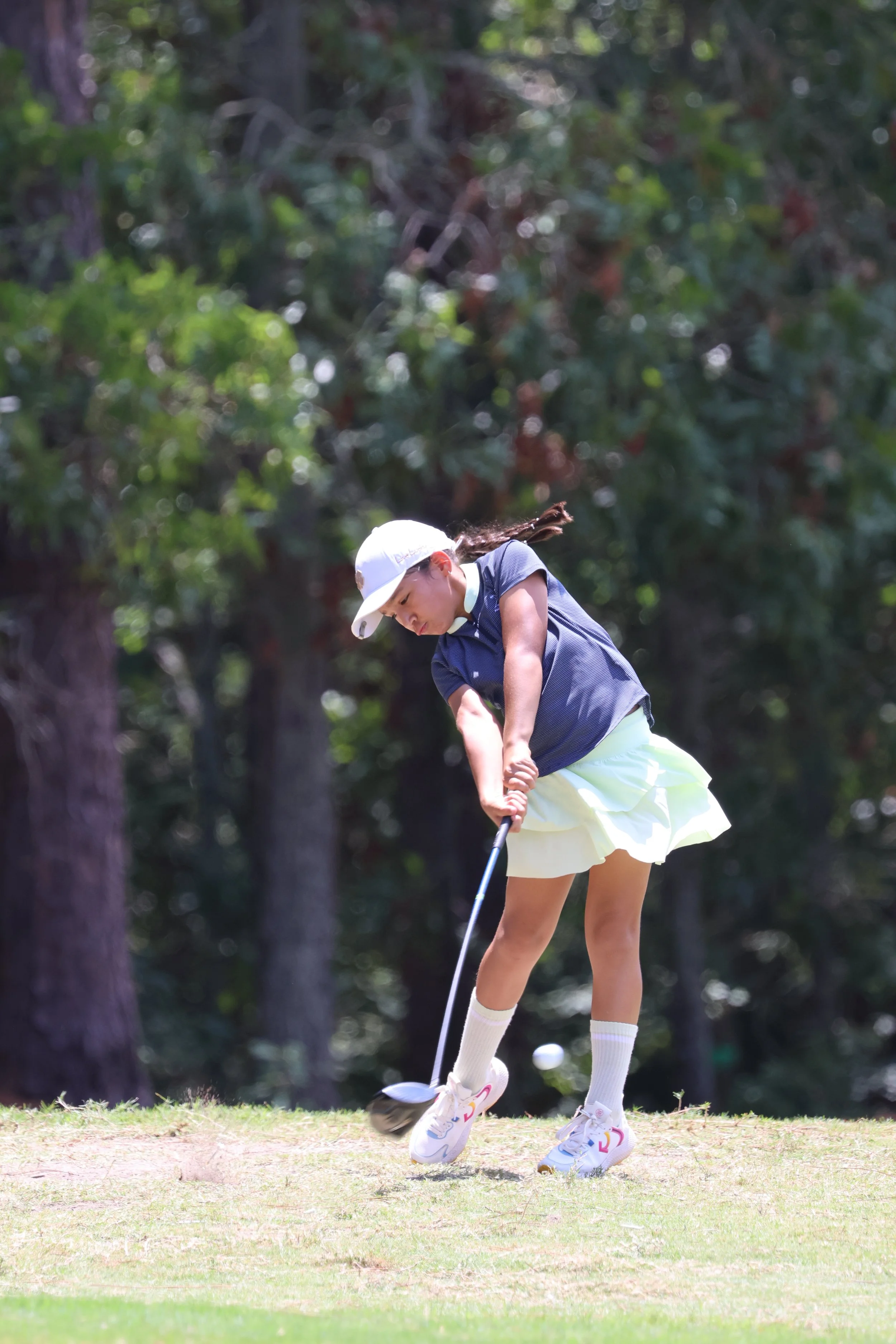 IMG_3590 pine.24_g9.JPG