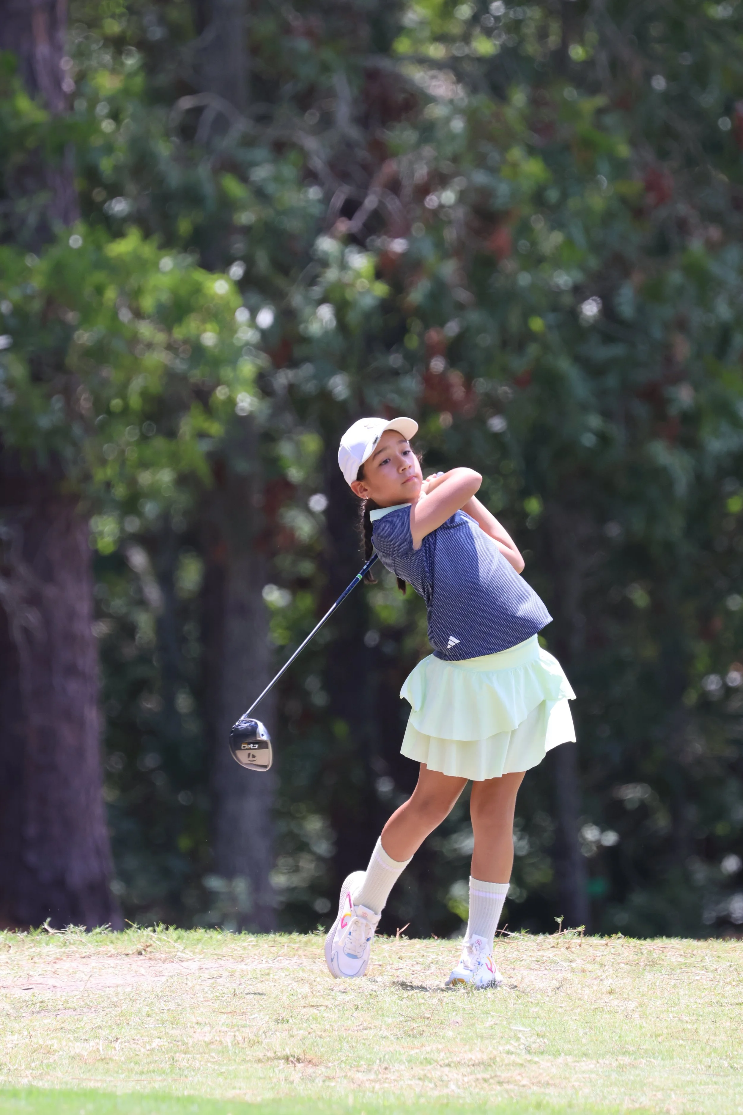 IMG_3605 pine.24_g9.JPG