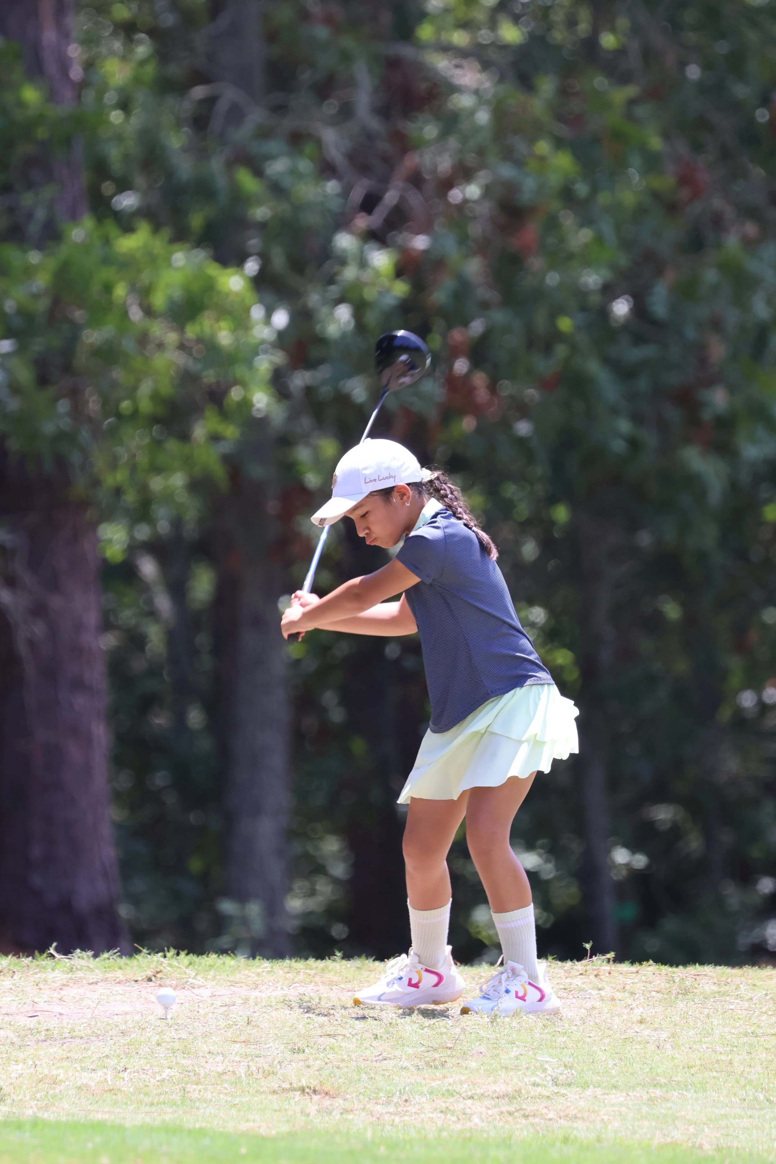 IMG_3588 pine.24_g9.JPG