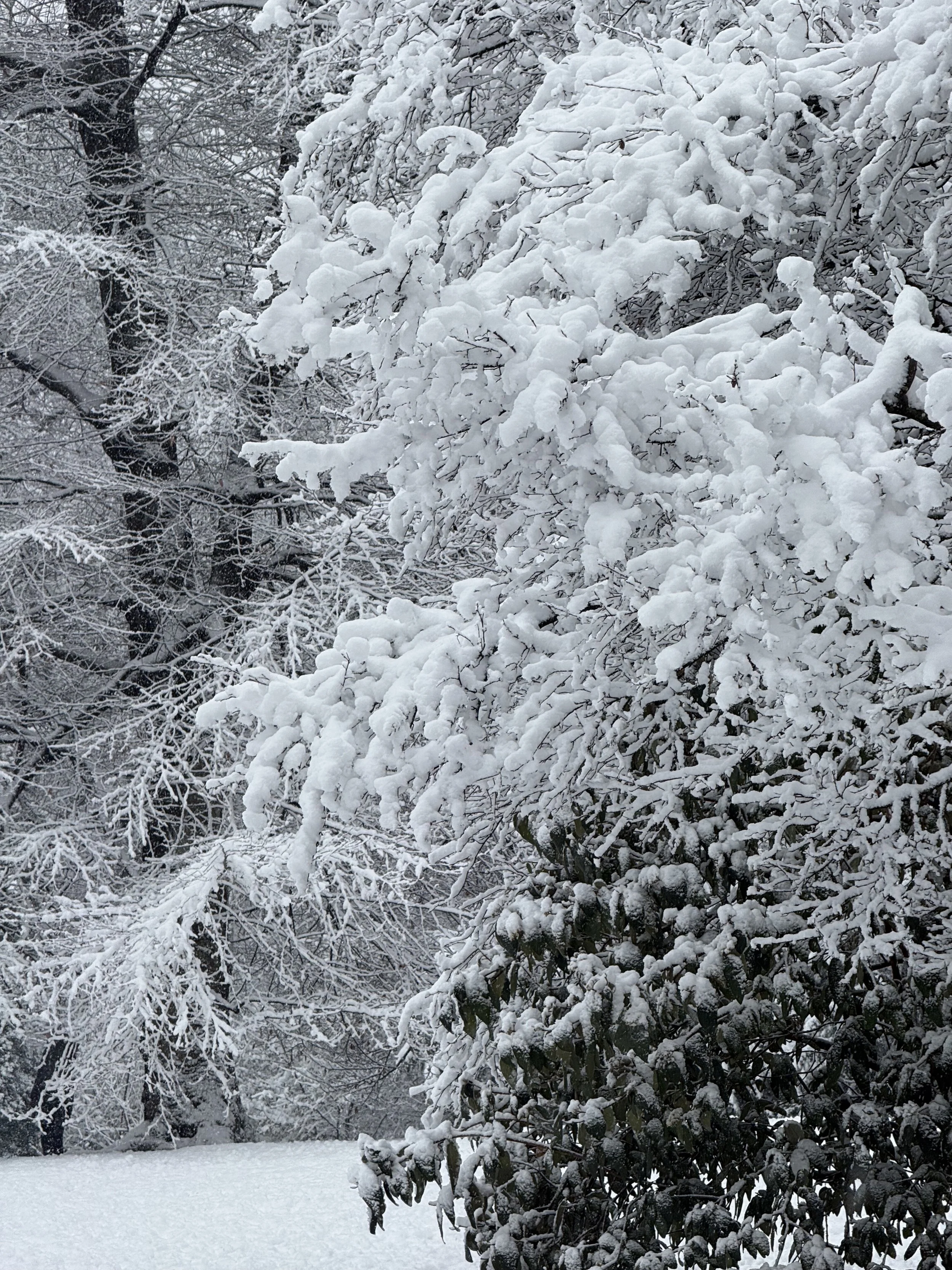 A Special Holiday Message