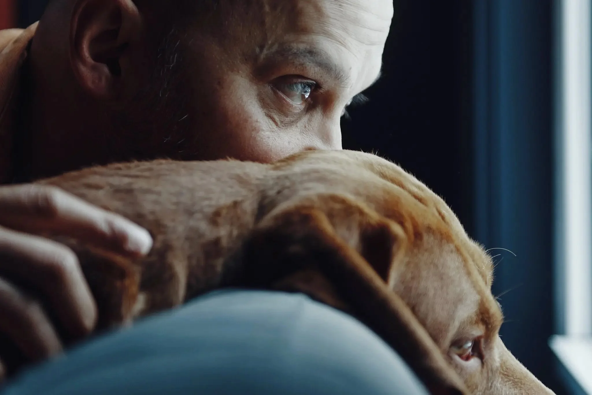 Get a Dog, Live Longer?