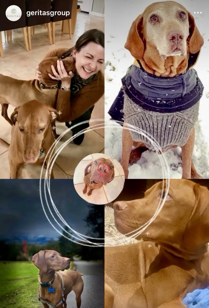 Get a Dog, Live Longer?