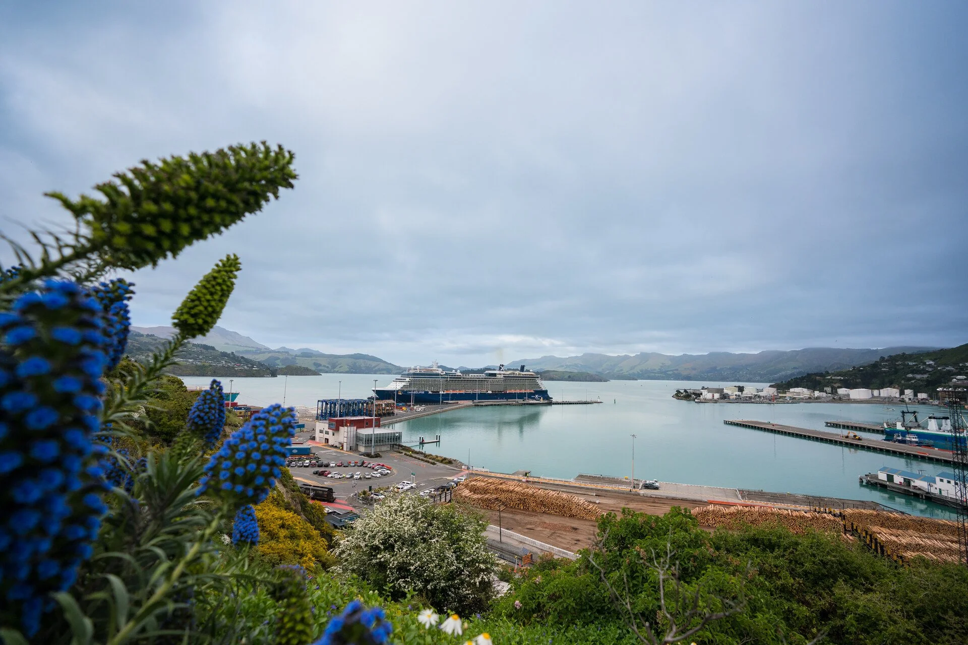 what-to-see-and-do-on-a-cruise-to-christchurch-new-zealand-new