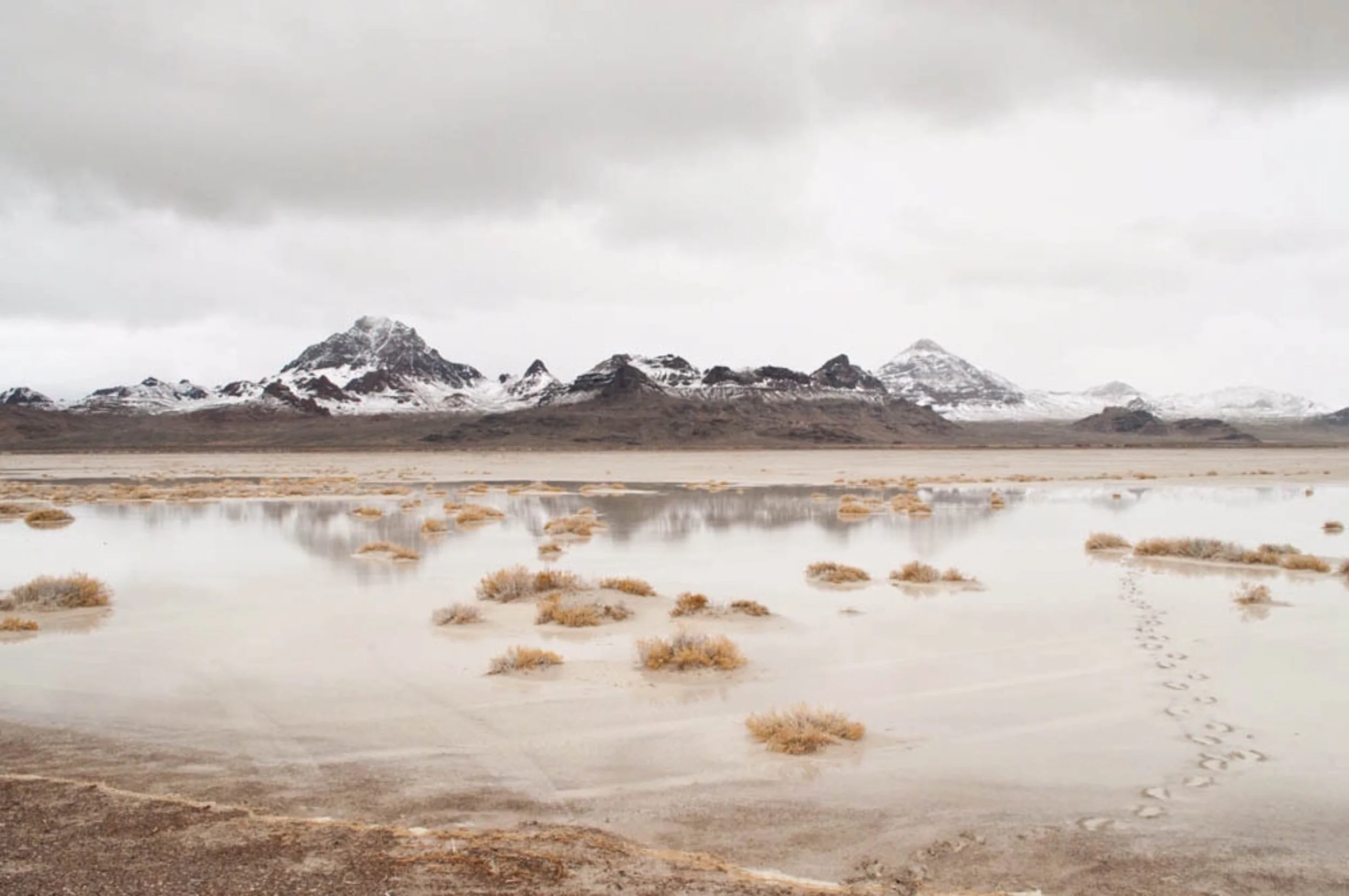 FENWICK PHOTO ARTS-41.jpg