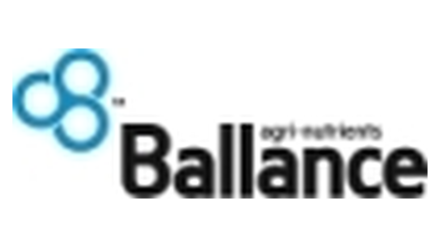 ballance_1.png