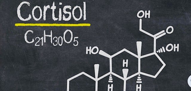 How stress hormones block fat loss — even with a perfect diet