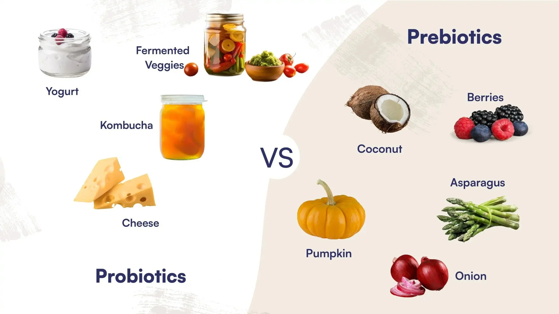 Bifidobacteria Part 2 How to grow more of this healthy microbe