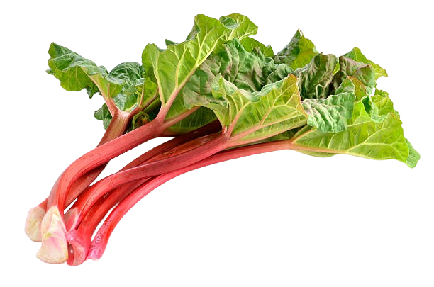 A morning at the Organic Market — and why Rhubarb is a gift for your gut.