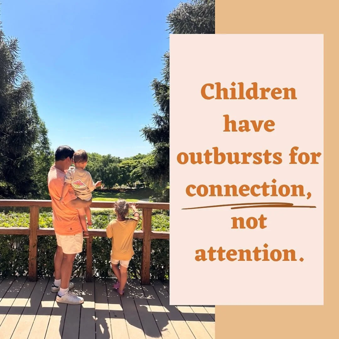 &ldquo;They&rsquo;re just doing it for attention&rdquo;. 

Kids brains are hard wired to seek safety from us. 

And when those BIG feelings come out after school or at a family party etc. it&rsquo;s so very rarely a manipulation for attention; it&rsq
