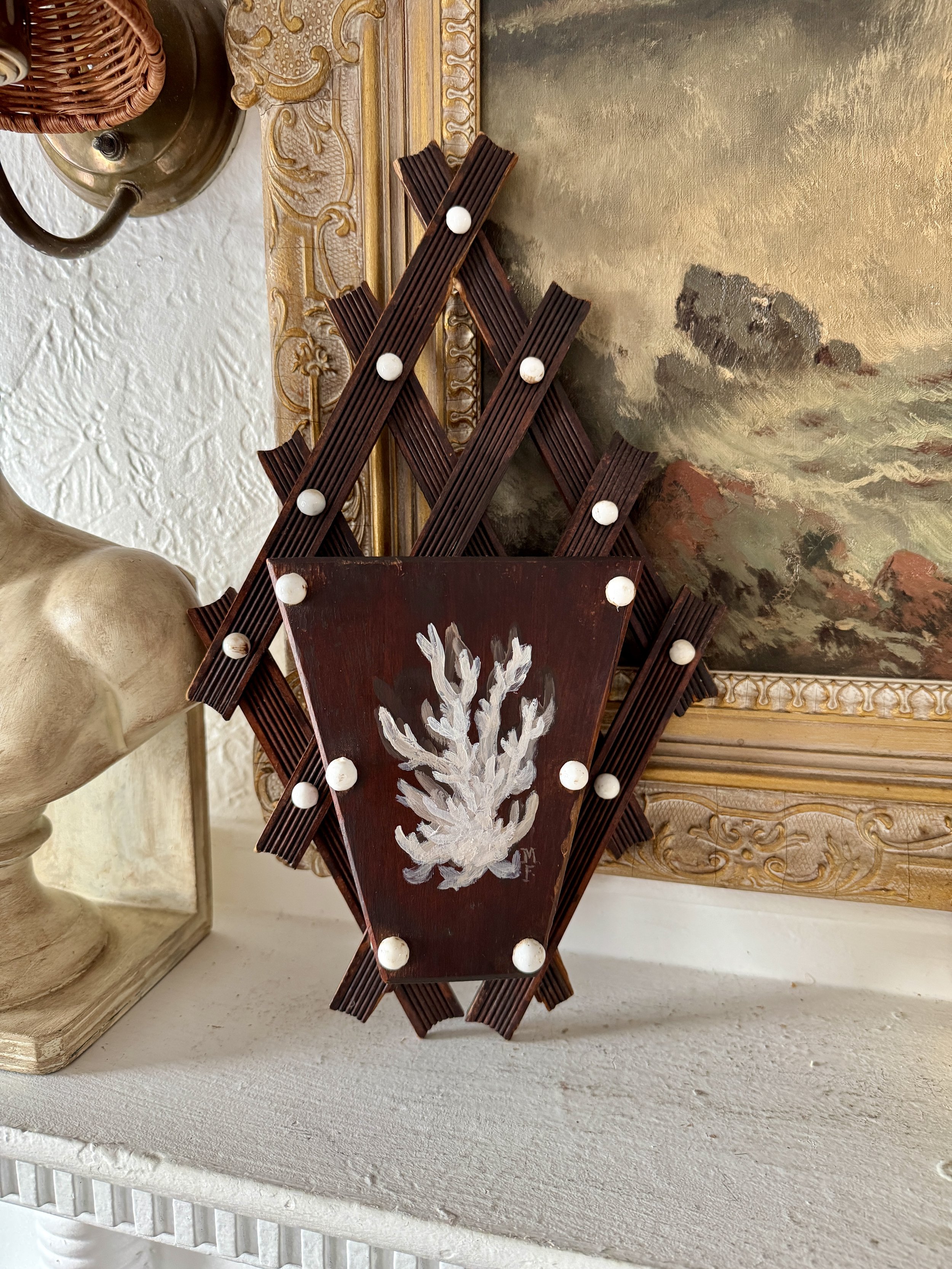 coral fragment on adirondack wall pocket by memo faraj