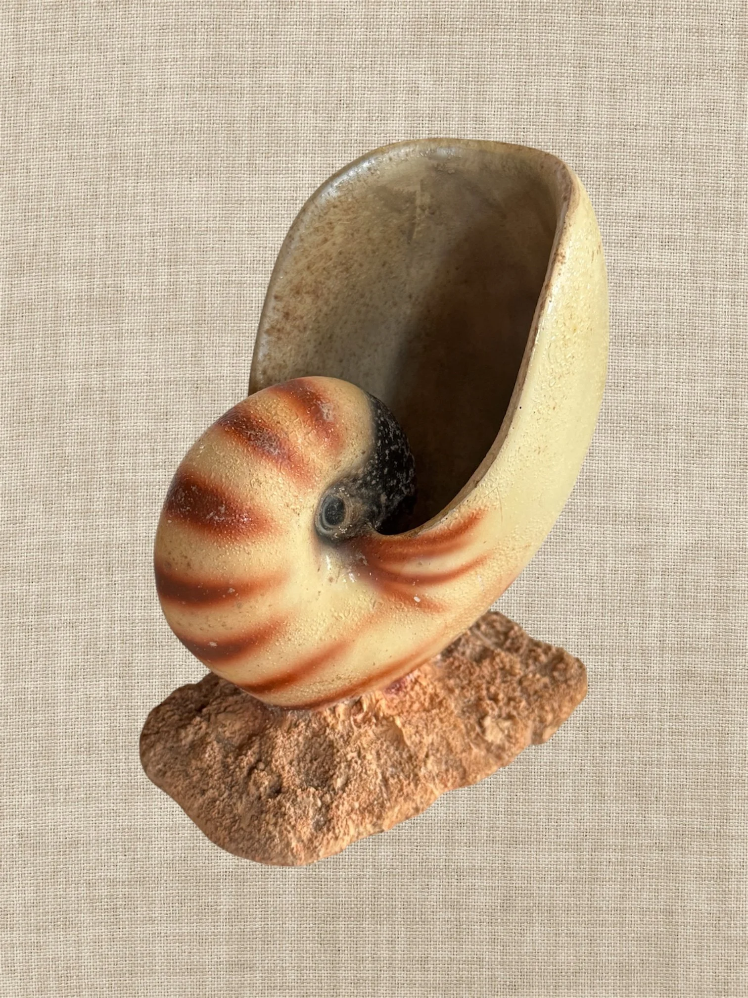faux nautilus resin sculpture, vintage
