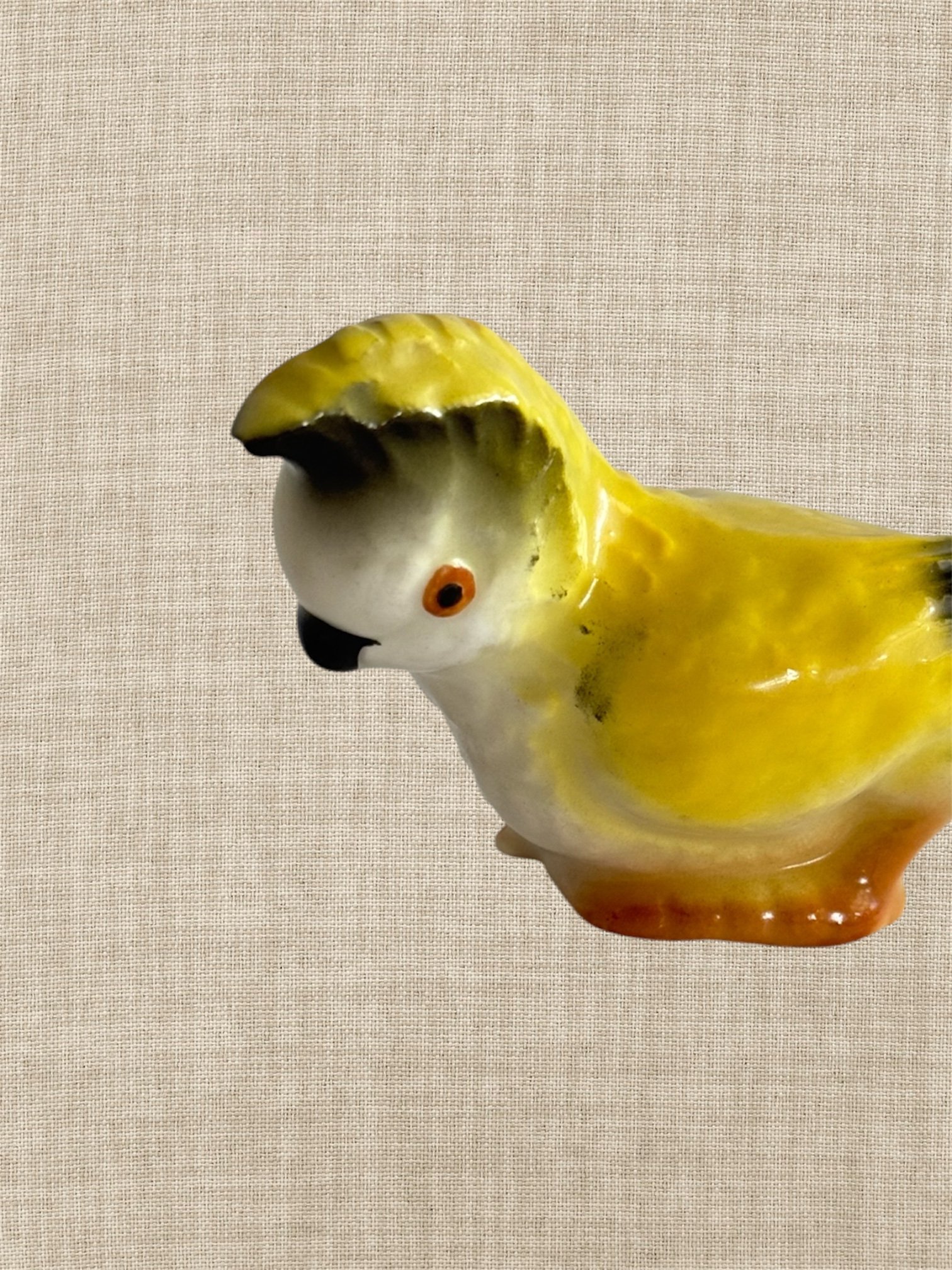 Photoroom_20260507_164011.jpeg