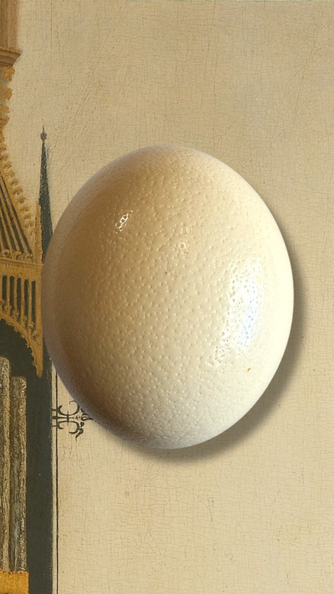 large vintage ostrich egg
