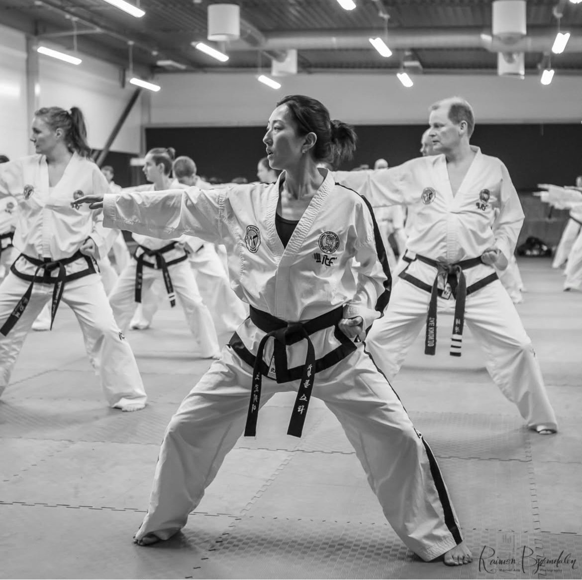 The shared technical DNA of Taekwon-Do, Judo and Karate