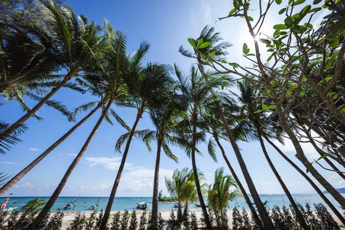 Rejuvenation Yoga & Health retreat Samahita, Ko Samui, Thailand 18-25. January 2025