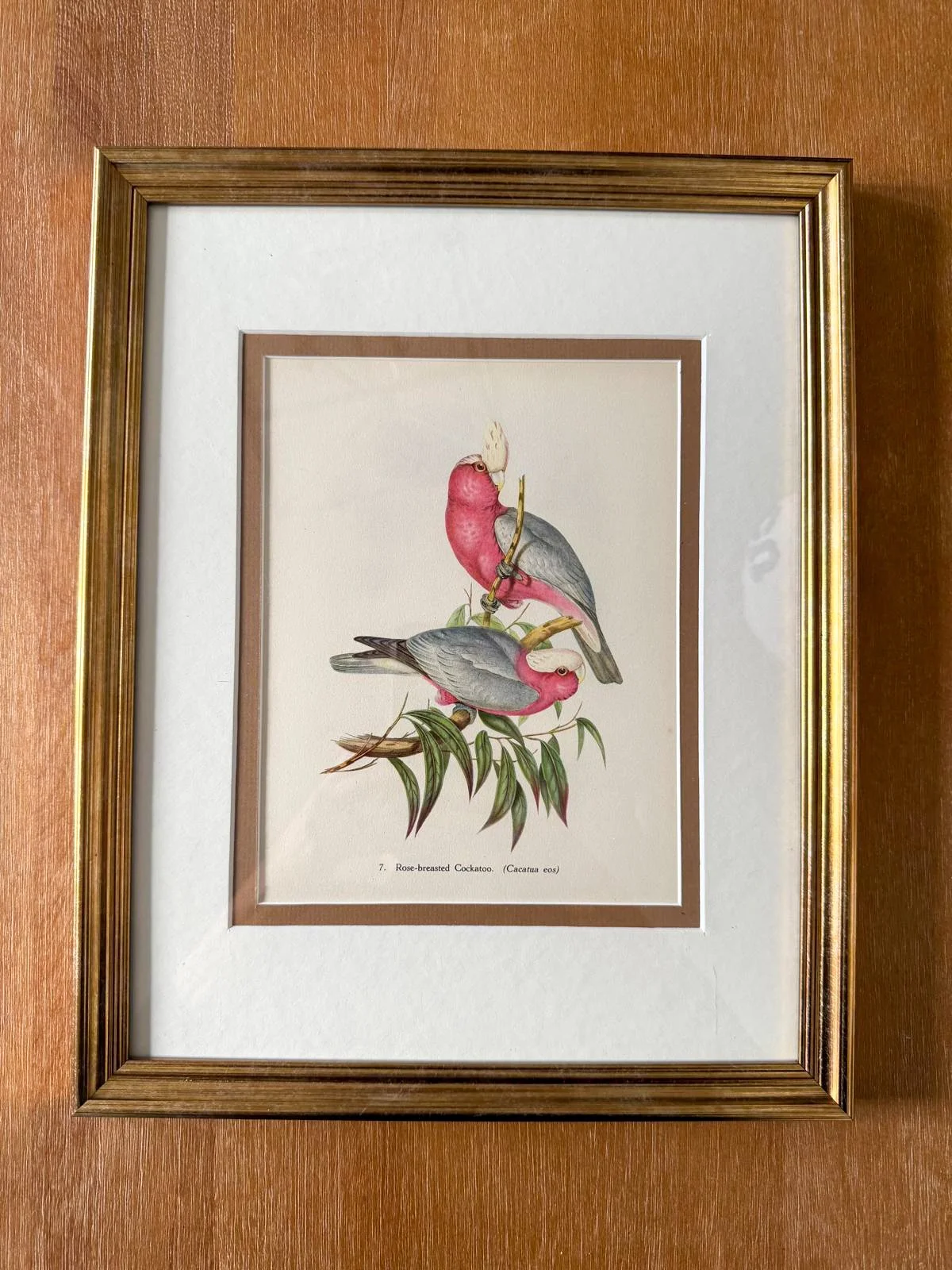 caedeb98-8181-4374-af21-333609a68c62.jpeg (Copy)