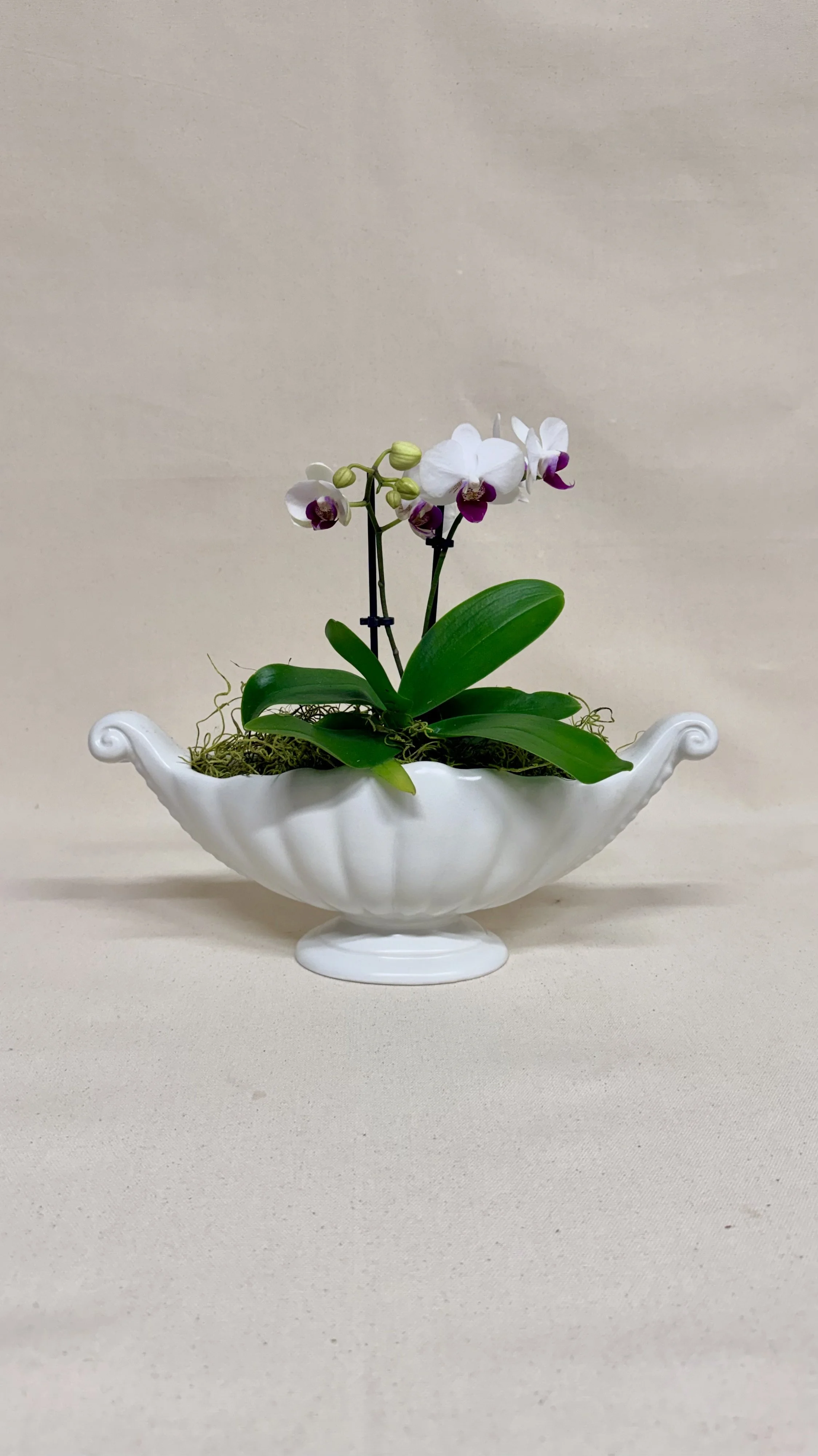 ENGLISH DARTMOUTH VASE